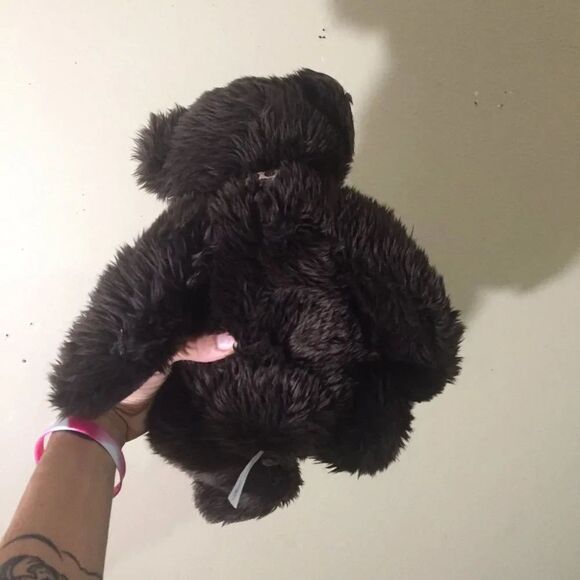 Brown Bear - Picture 9 of 11